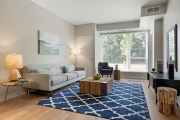 Shoreview apartment for rent - a living room with a white couch and a blue rug