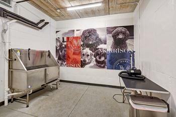 Pet care