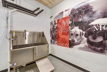 Pet care center