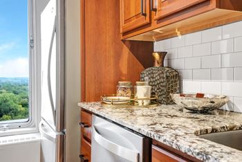 Granite counter tops