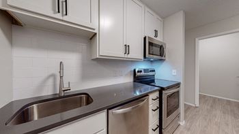Double sink with integrated sprayer