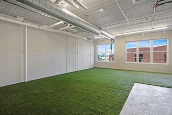 Pet run with green turf