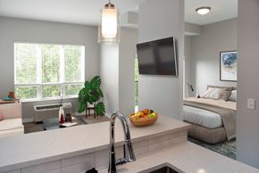 St Louis Park apartment for rent - nordic studio floor plan, living and bedroom, floating tv wall at Urban Park I and II Apartments, St Louis Park, MN, 55426