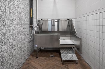 Private dog spa and onsite dog run