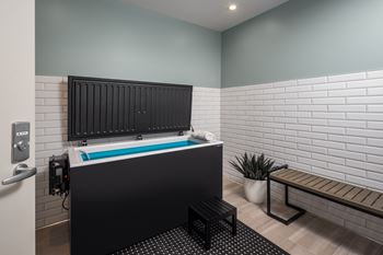 Expansive 24 hour fitness studio with sauna & cold plunge