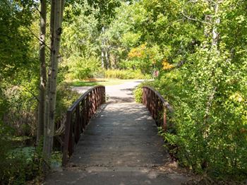 Greenspace walking trails