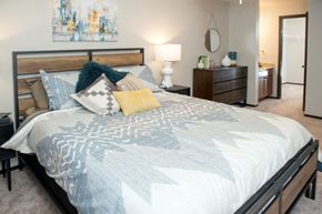 Eagan apartment for rent - Master bedroom with walk-in closet and sink, Aspenwoods Apartments, Eagan, MN