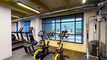 A gym with exercise bikes and a treadmill.
