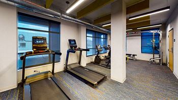 A treadmill and a stationary bike are in a well-lit room with a view of the outside.