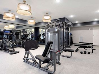 A well-equipped gym with various exercise machines and weights.