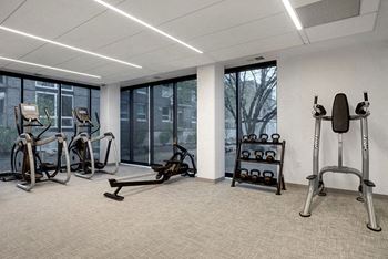 A gym with a row of treadmills, elliptical machines, and a weight rack.