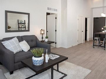 Minneapolis apartment for rent - A grey couch with a white pillow is in the living room.