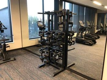 A gym with a variety of equipment including treadmills and weights