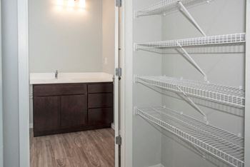 Closet with shelves