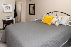 Saint Paul apartment for rent - a bedroom with a gray bed and yellow pillows