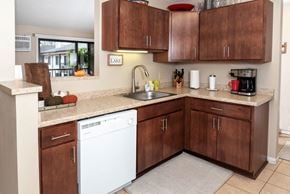 Saint Paul apartment for rent - a kitchen with wooden cabinets and a sink and a dishwasher