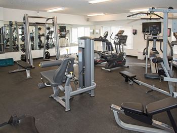 Urban park i - fitness center
