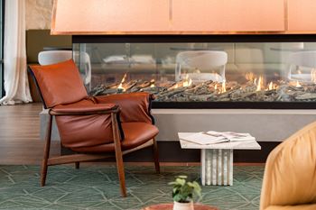 Fireplace living
