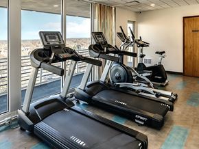 Lincoln apartment for rent - a gym with cardio equipment and a view of the city