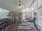 Daly City apartment for rent - a gym with cardio equipment and windows at Skyline Heights Apartments, Daly City, California