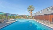 San Mateo apartment for rent - a swimming pool with a palm tree next to a building at The Preston at Hillsdale, San Mateo, CA