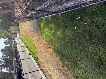 Bark park