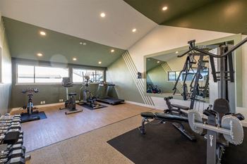 A gym with weights and cardio equipment in a home gym