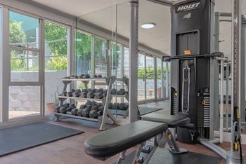 A gym with weights and cardio equipment and a window