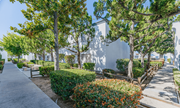 El Cajon apartment for rent - a park with trees and benches in front of a buildingat The Arches Apartments, LLC, El Cajon