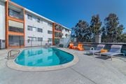 San Diego apartment for rent - our apartments have a resort style pool and lounge chairs at Citra Apartments LLC, San Diego, California