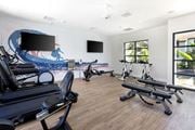 San Diego apartment for rent - a gym with cardio equipment and a wall mural of the beach at La Jolla Blue, San Diego California