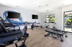 San Diego apartment for rent - a gym with cardio equipment and a wall mural of the beach at La Jolla Blue, San Diego California