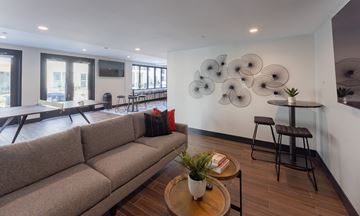 Hercules apartment for rent - A living room with a couch, a chair, and a table with a potted plant on it.
