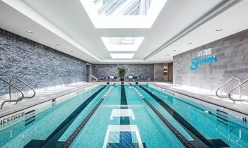 The swimming pool 
