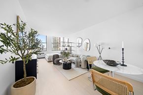 New York apartment for rent - A living room with a tree in a pot, a white table, and a chair at One West, New York, New York.