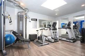 Belmont apartment for rent - a gym with treadmills and other exercise equipment in a room with a mirror