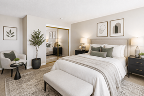 San Lorenzo apartment for rent - A bedroom with a large bed, a chair, a potted plant, and a rug.