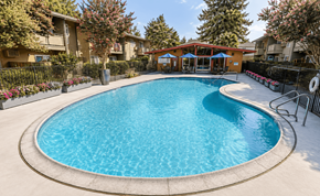 Fremont apartment for rent - A swimming pool surrounded by a fence and trees.