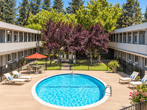 Concord apartment for rent - A swimming pool surrounded by trees and chairs.
