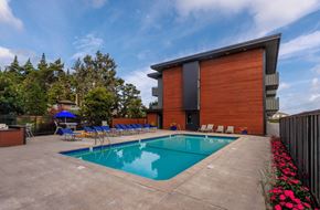 Belmont apartment for rent - the swimming pool at our hotel