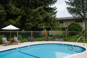 Pleasant Hill apartment for rent - A pool surrounded by trees and a white umbrella.