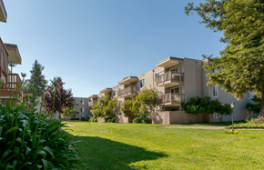 Fremont apartment for rent - A grassy area in front of apartment buildings.