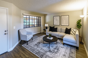 San Lorenzo apartment for rent - A living room with a grey sofa, a white chair, and a black and white rug.