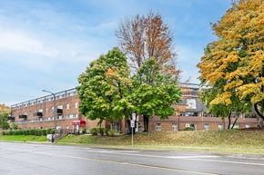 North York apartment for rent - A tree with orange leaves stands next to a tree with green leaves.