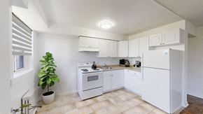 Toronto apartment for rent - A white kitchen with a plant on the left.