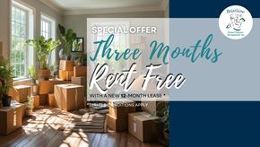 Toronto apartment for rent - A special offer for a three months rent free with a new 12-month lease.