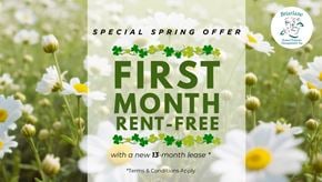 Toronto apartment for rent - A spring offer for a first month rent-free with a new 13-month lease.