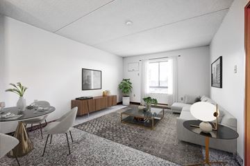Waterloo apartment for rent - A modern living room with a grey rug and a glass coffee table.