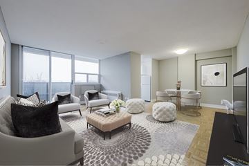 North York apartment for rent - A modern living room with a grey sofa and a patterned rug.