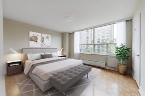 Toronto apartment for rent - A bedroom with a large bed and a plant.